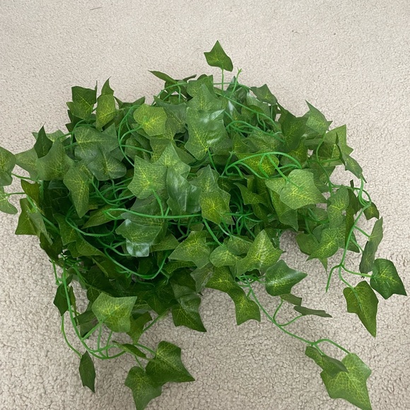 wall decorative vines - Picture 1 of 1